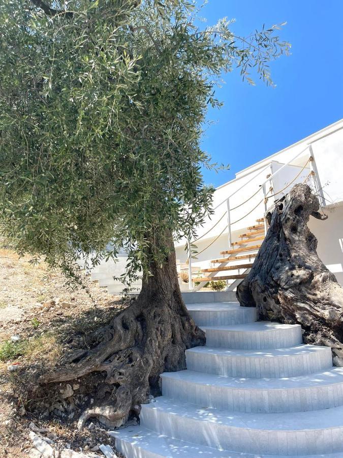 Farm stay Le Fronde