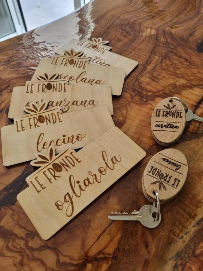 Le Fronde Farm stay *