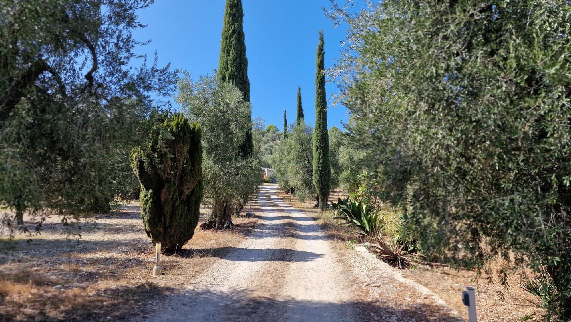 Le Fronde Farm stay