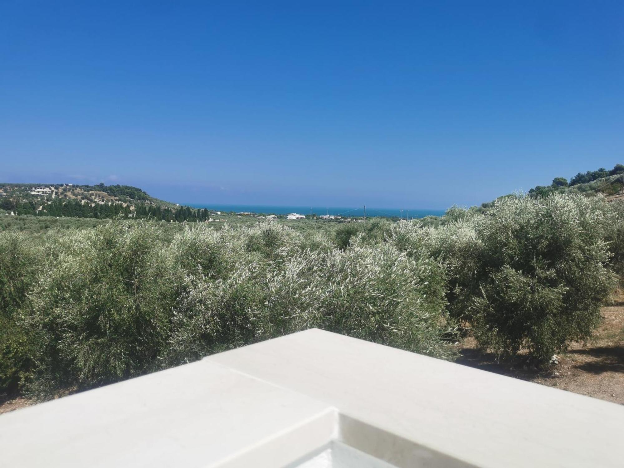 Le Fronde Vieste