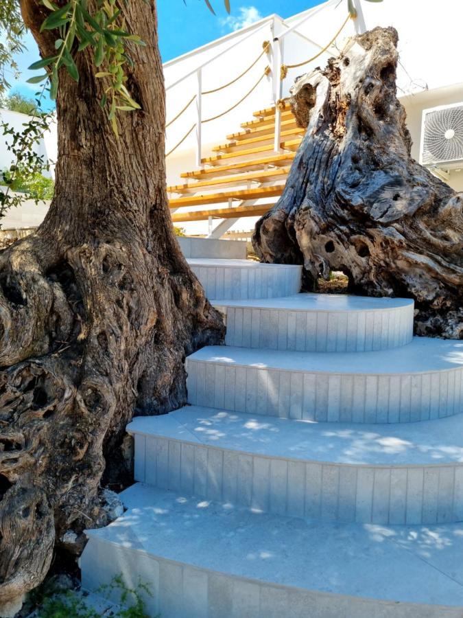 Le Fronde * Vieste